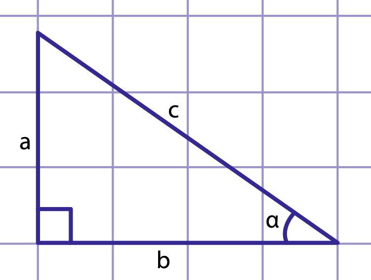 Рис. 1. К определениям тригонометрических функций угла α